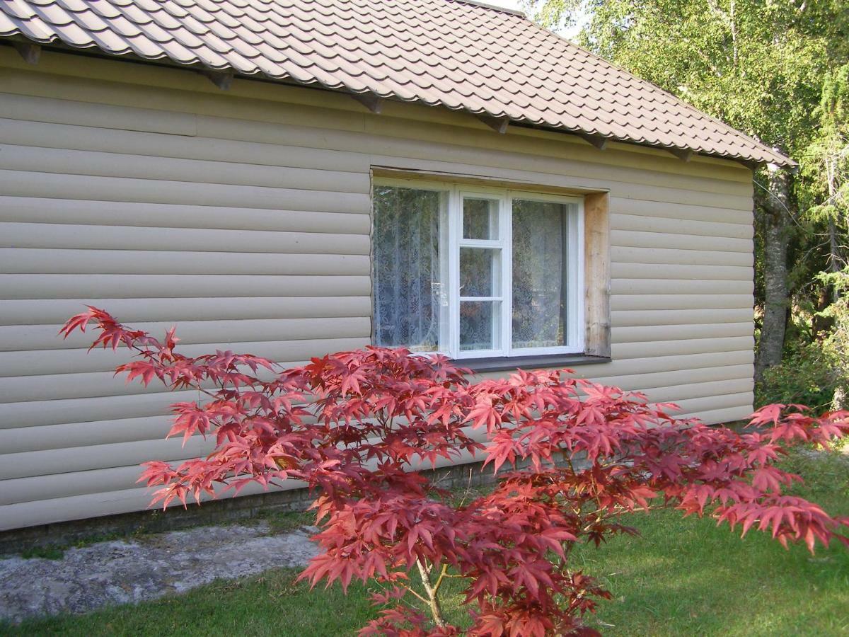 Kipi-Koovi Holiday Centre Dış mekan fotoğraf